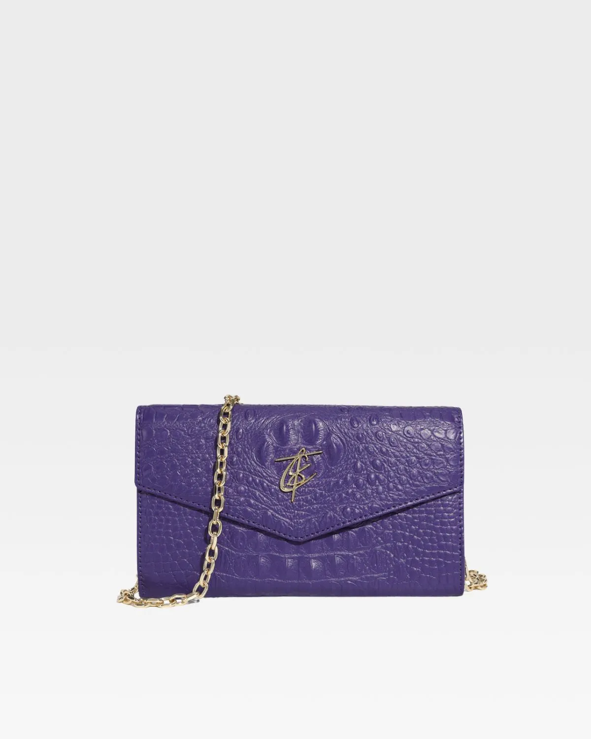 Apollo 2 Clutch Shoulder Purses