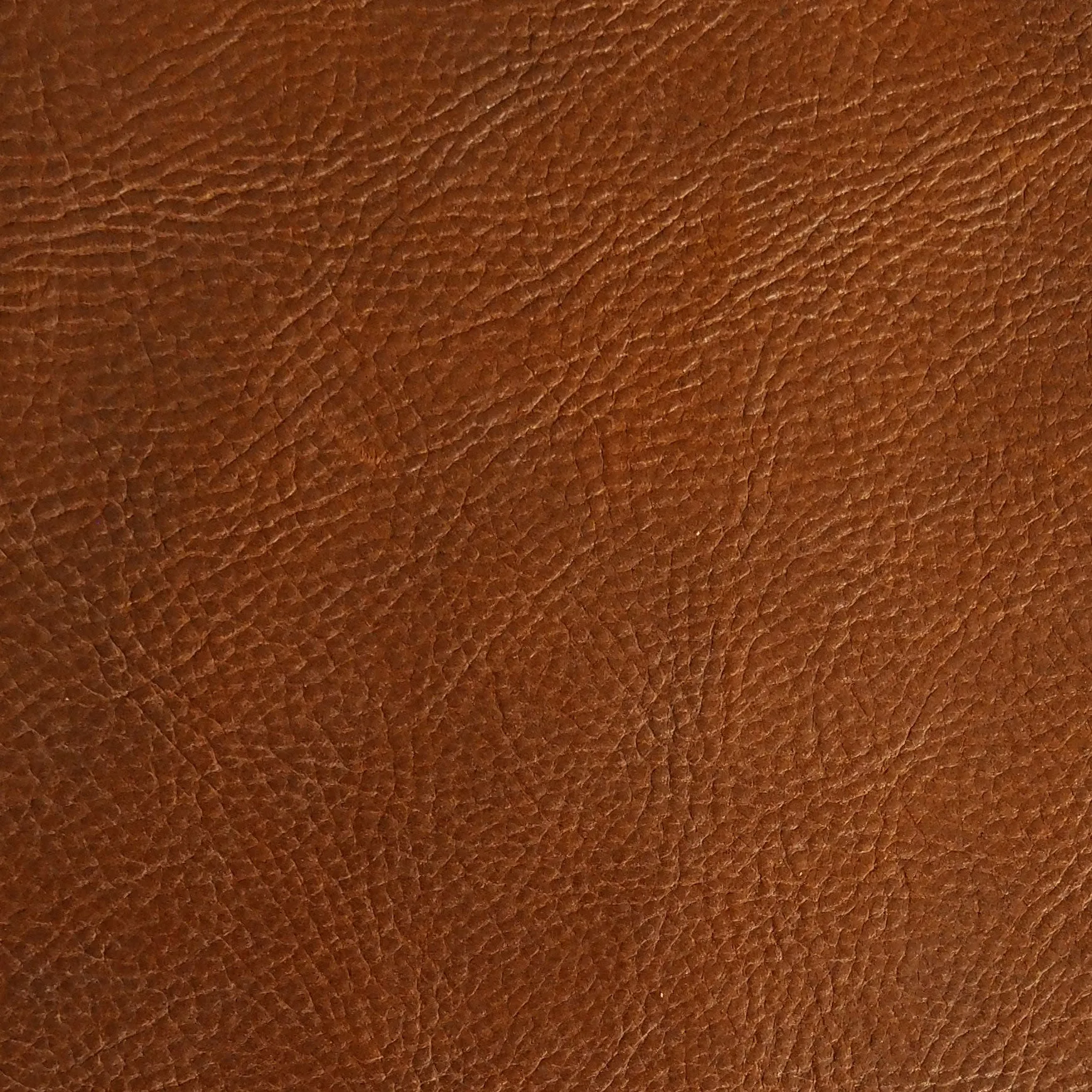 Belt-Buckled Leather Strap