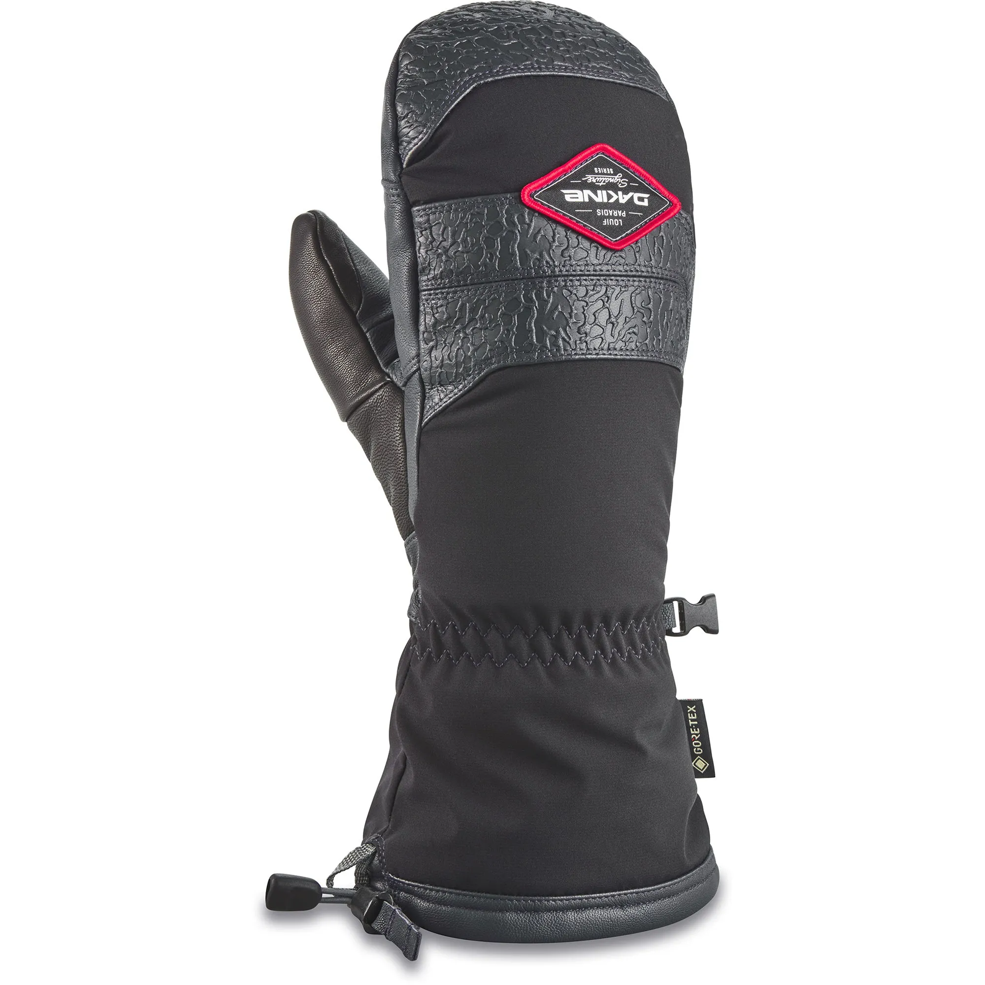 Team Excursion GORE-TEX Mitt - Louif Paradis