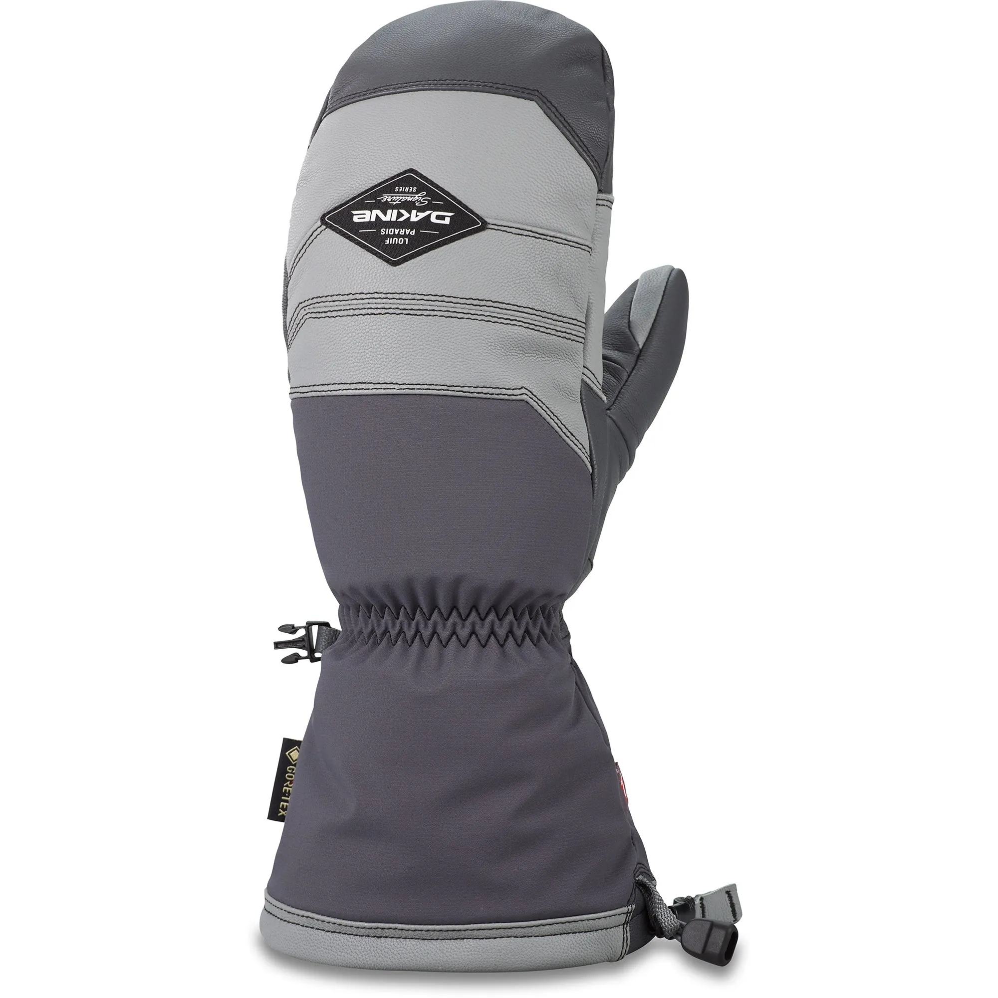 Team Excursion GORE-TEX Mitt - Louif Paradis