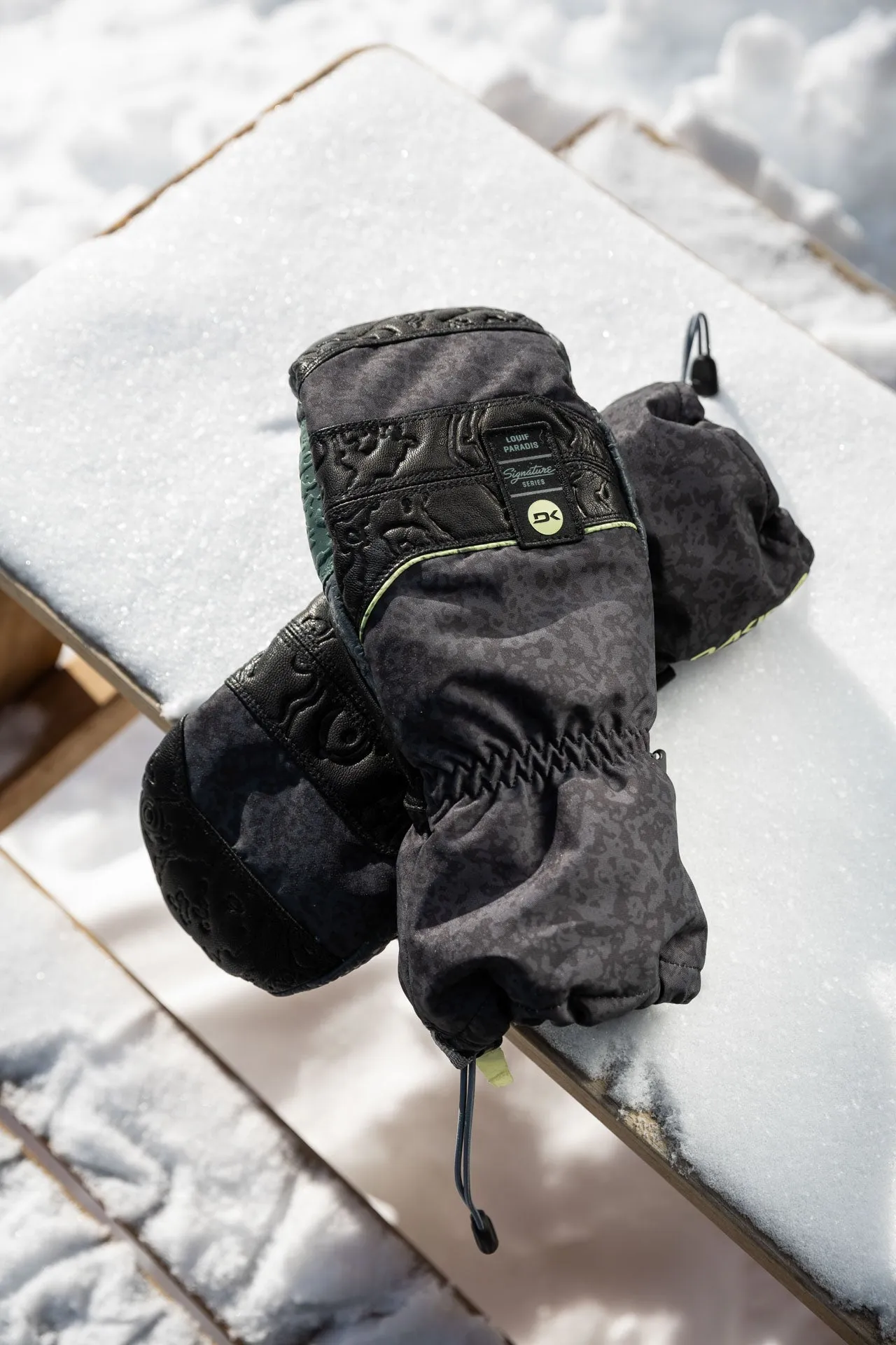 Team Excursion GORE-TEX Mitt - Louif Paradis